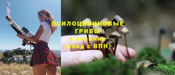 мет Зеленодольск