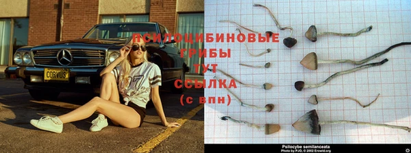 соль курить ск Зеленокумск
