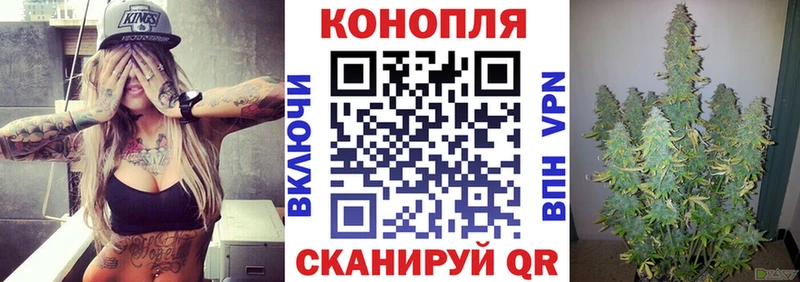 Шишки марихуана MAZAR  Купить закладки  Дегтярск 